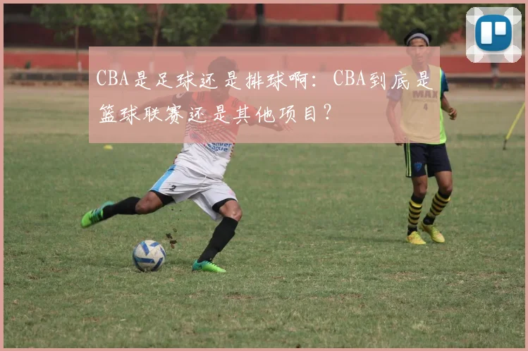 CBA是足球还是排球啊：CBA到底是篮球联赛还是其他项目？
