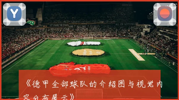 《德甲全部球队的介绍图与视觉内容分布展示》