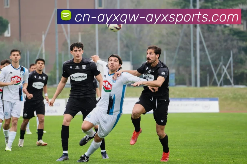 爱游戏发展历程