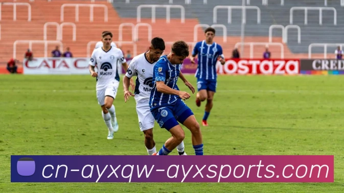 火箭队历年季后赛战绩统计与晋级情况一览